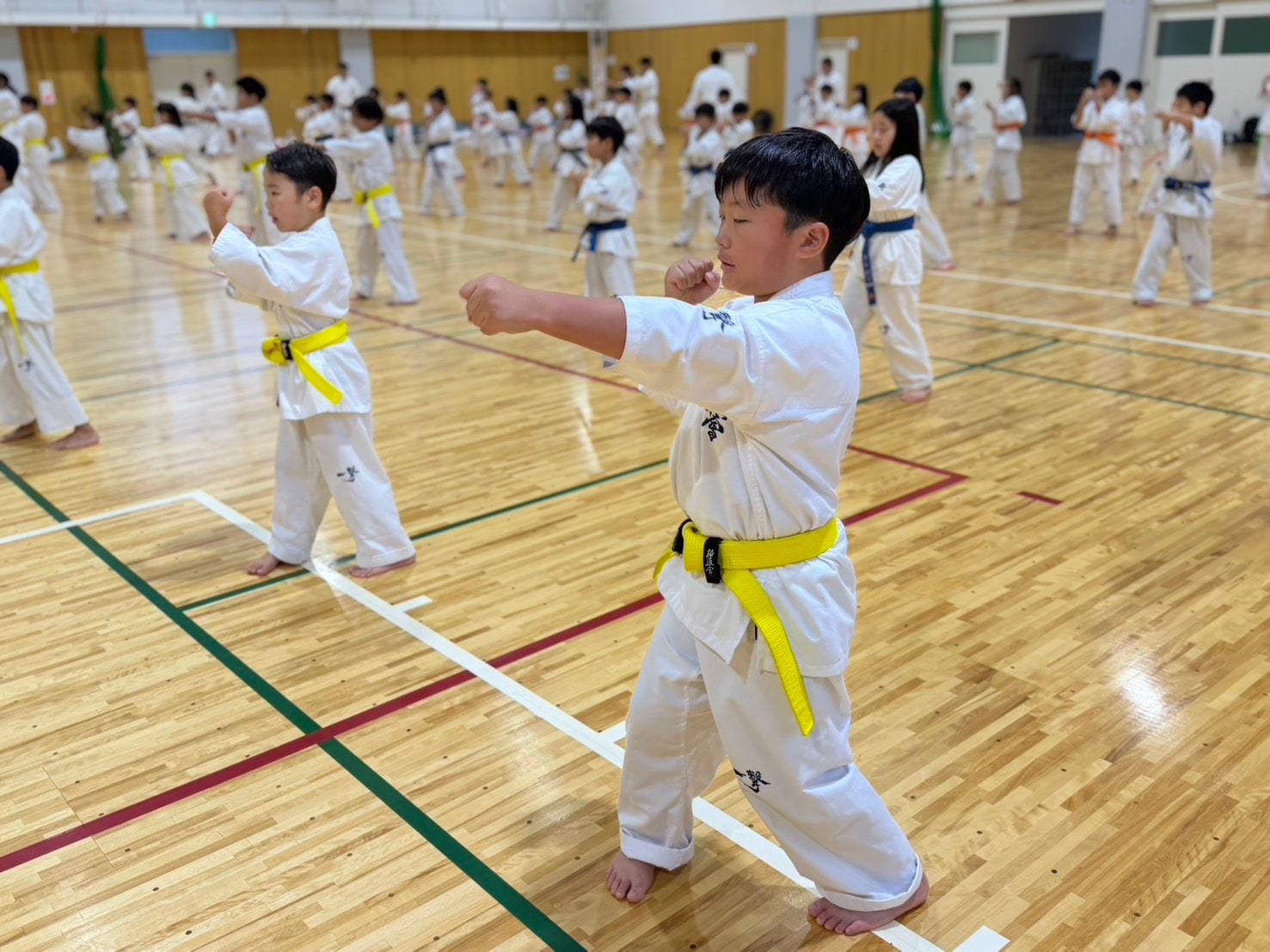 合宿2日目朝稽古 黄帯の道場生が突きを放つ