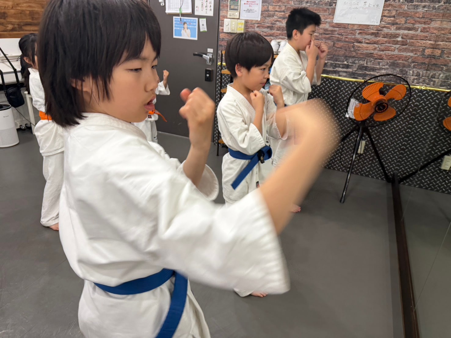 基本稽古で突きの練習をする少年部の生徒たち