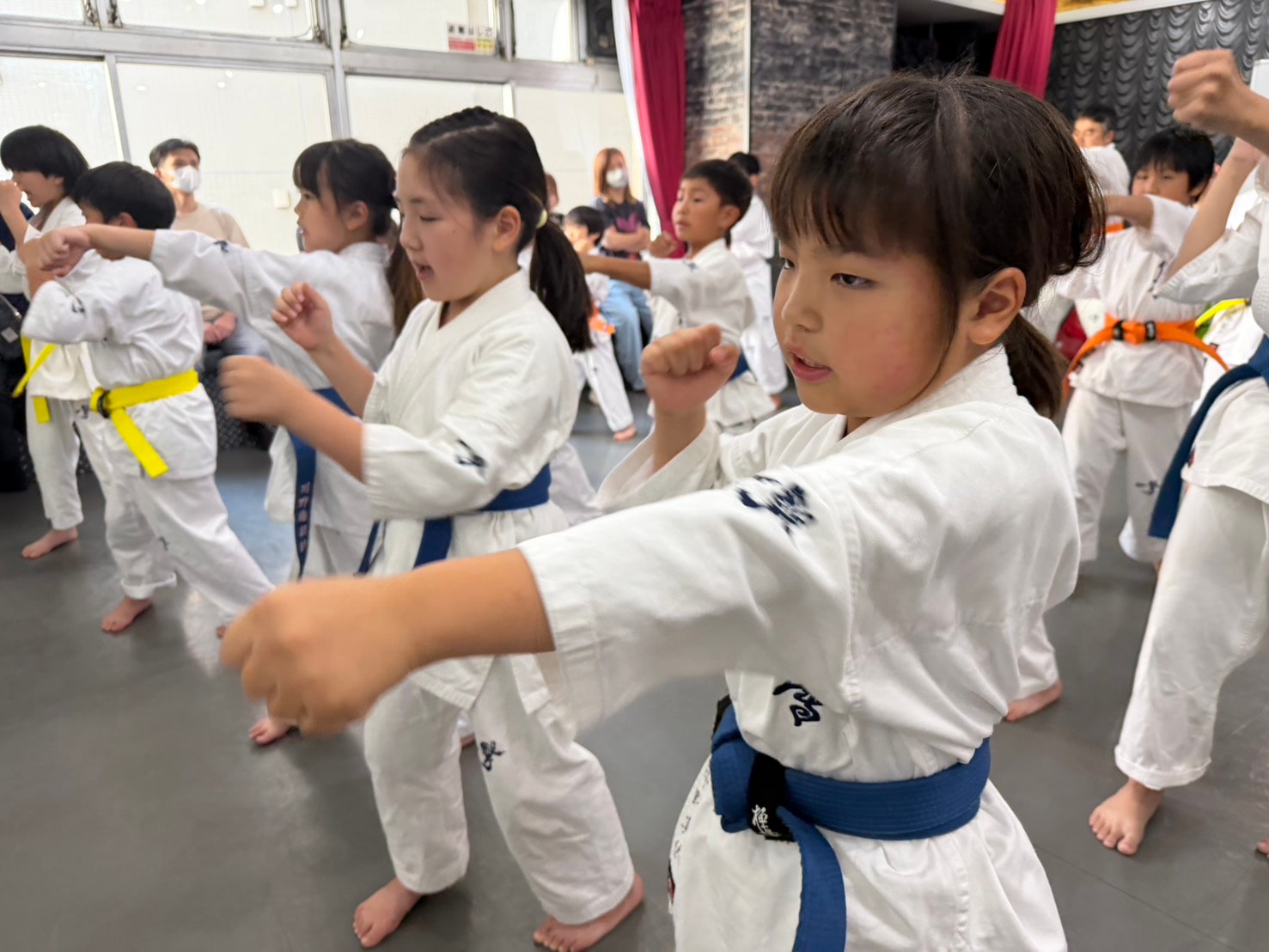 幼年・少年部の基本稽古。青帯の生徒が真剣な表情で突きを練習している。