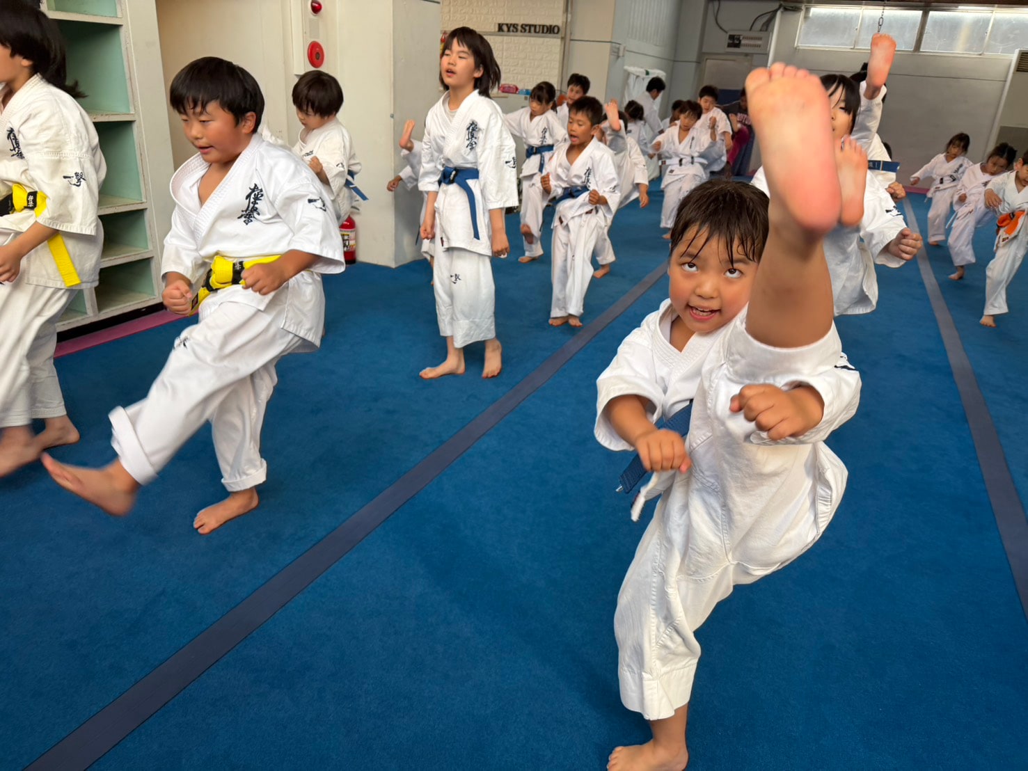 御幸道場 幼年・少年少女クラス 蹴り稽古の様子