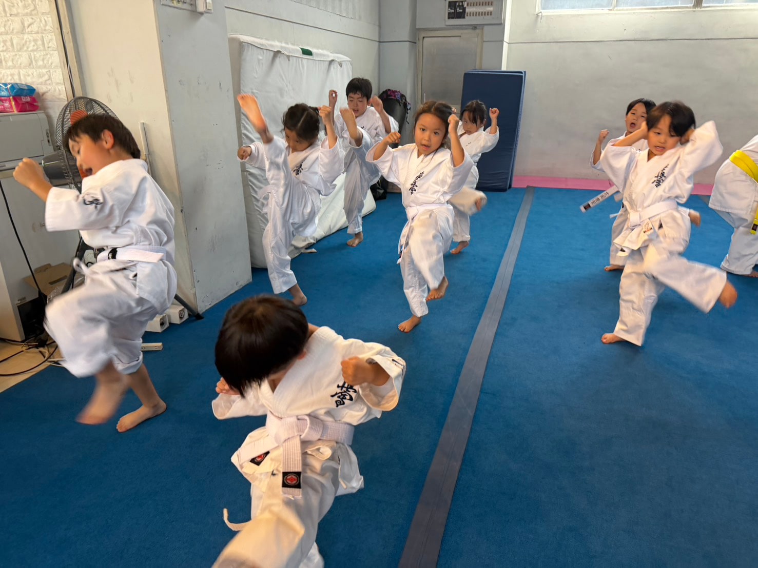 基本稽古に取り組む幼年・少年少女クラスの子どもたち