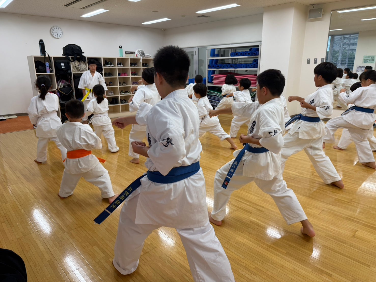 基本稽古で突きを繰り出す道場生たち