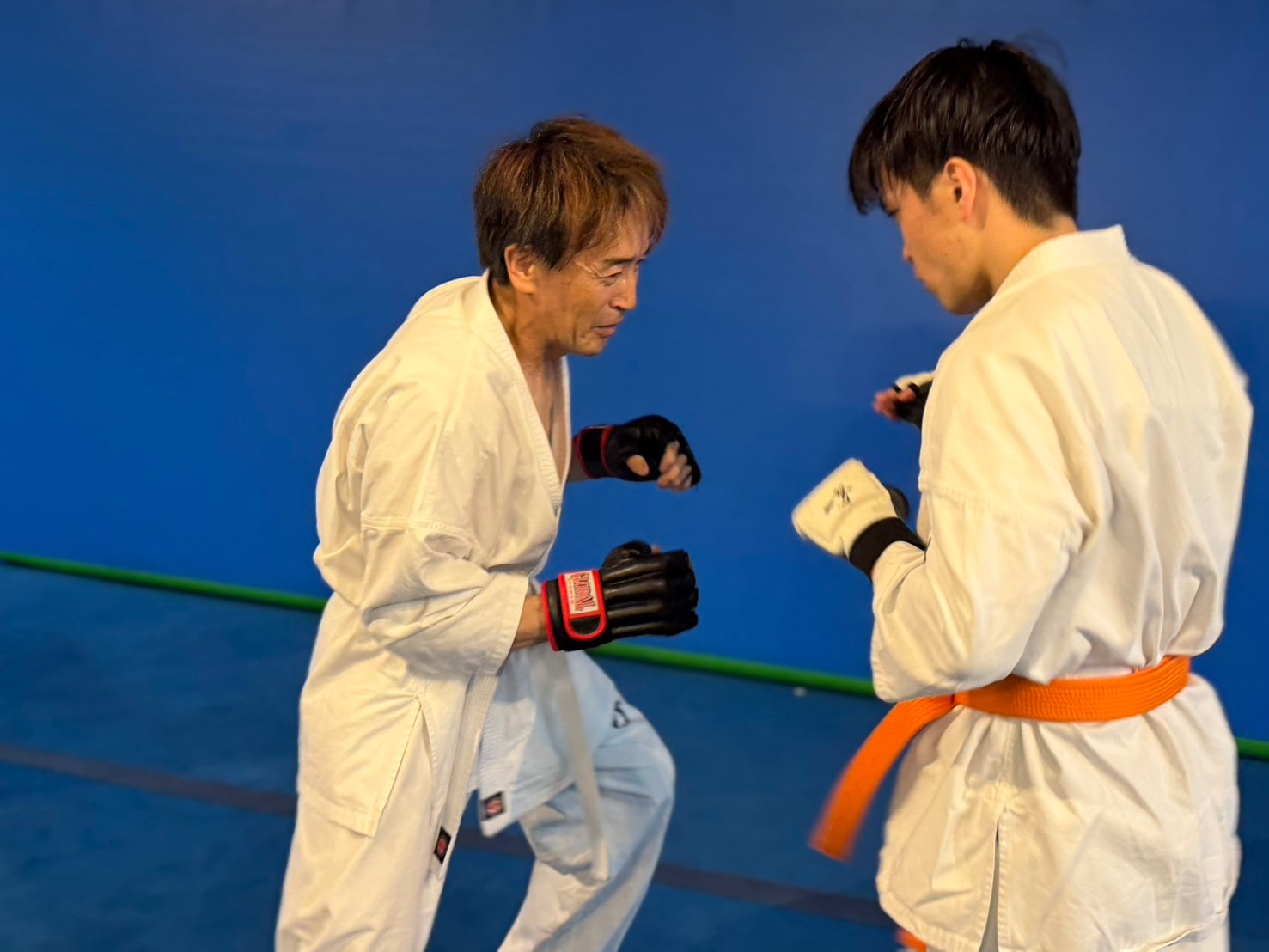 御幸道場 一般クラスの組手稽古。先輩と向き合い構えを作る場面
