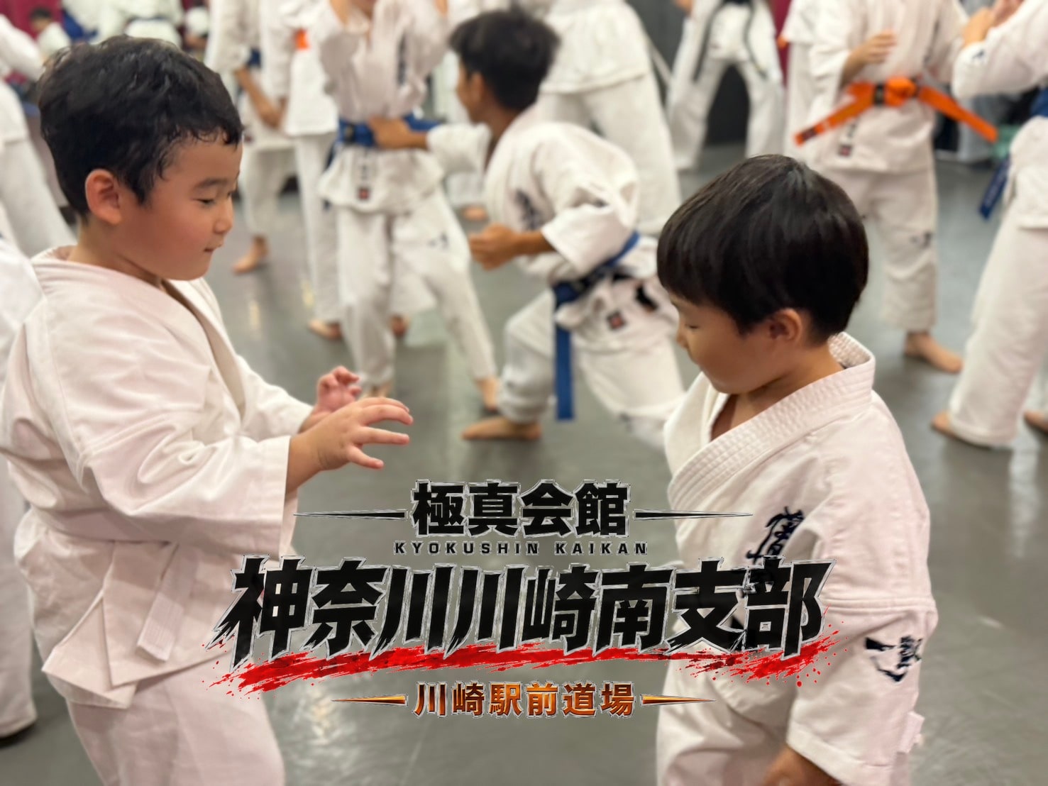 少年部の生徒が元気いっぱいに稽古する様子