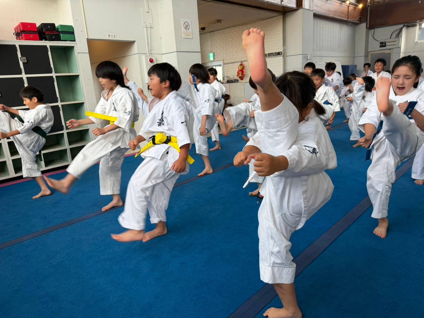 少年少女クラスが蹴りの稽古をしている様子