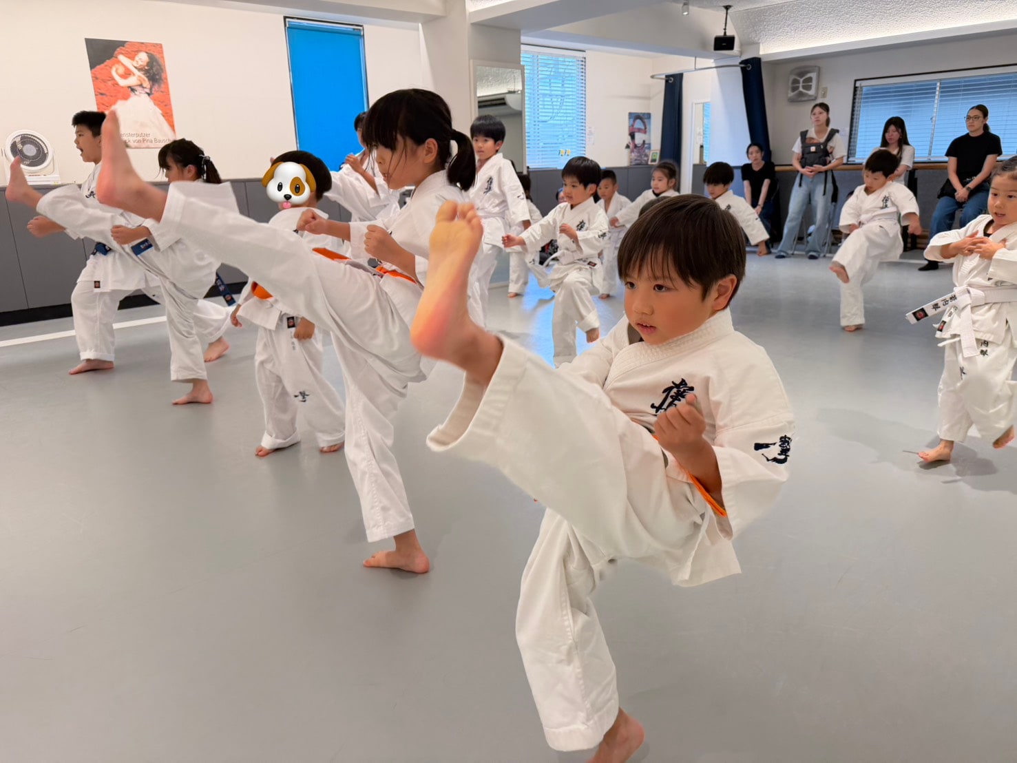 大倉山道場 少年少女クラス 蹴り技の稽古