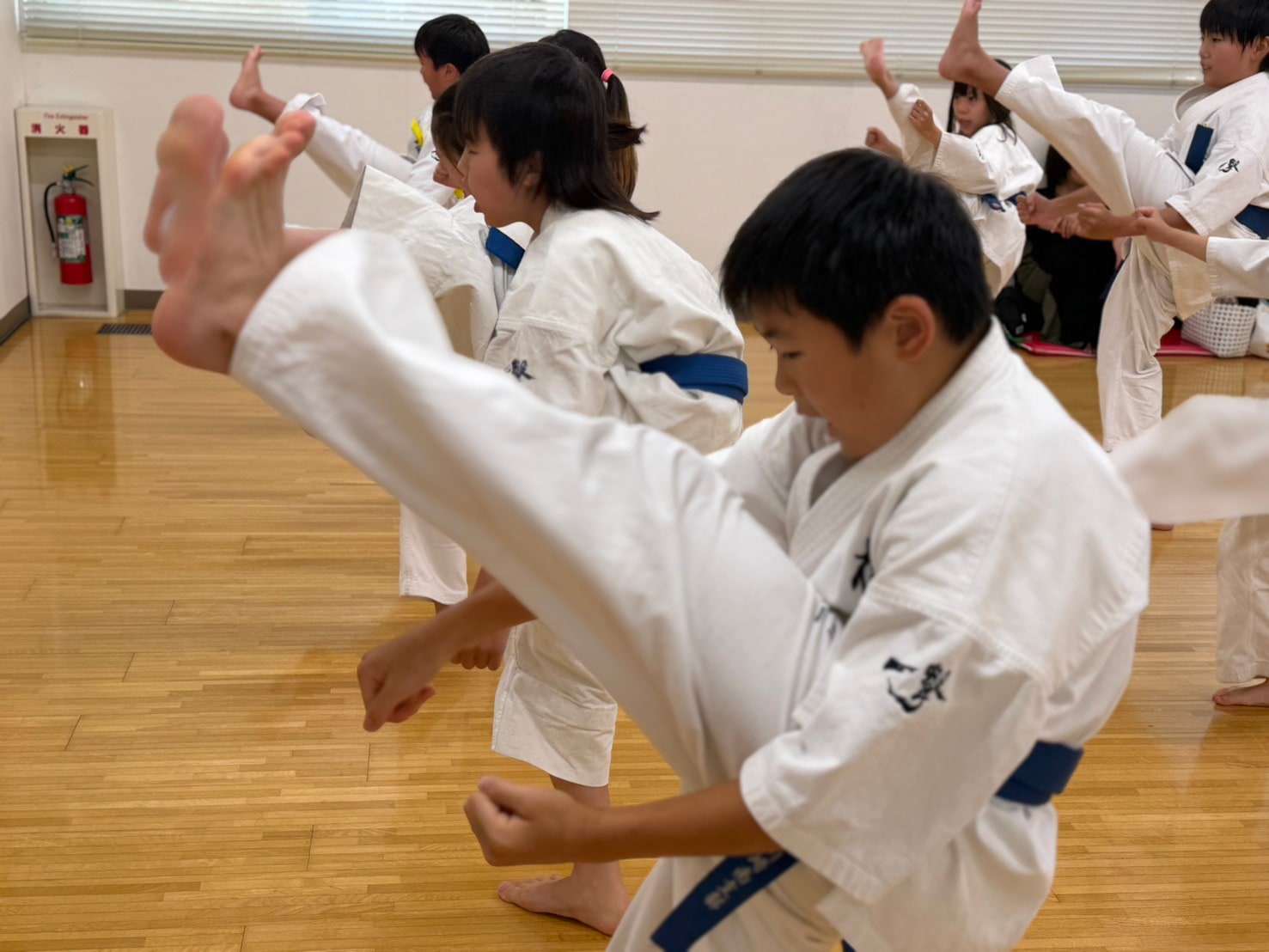 生徒たちが蹴り技の移動稽古に取り組んでいる様子