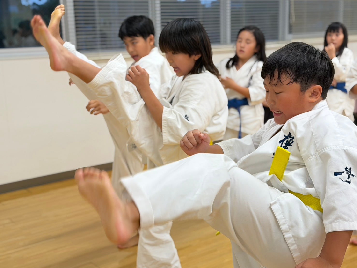 力強く蹴りを放つ少年部の生徒たち