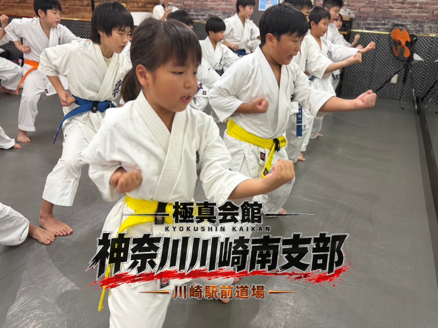二人一組で組手の動きを確認する道場生