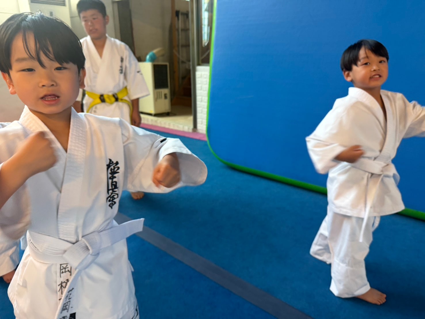 幼い道場生が全力で拳を突き出している