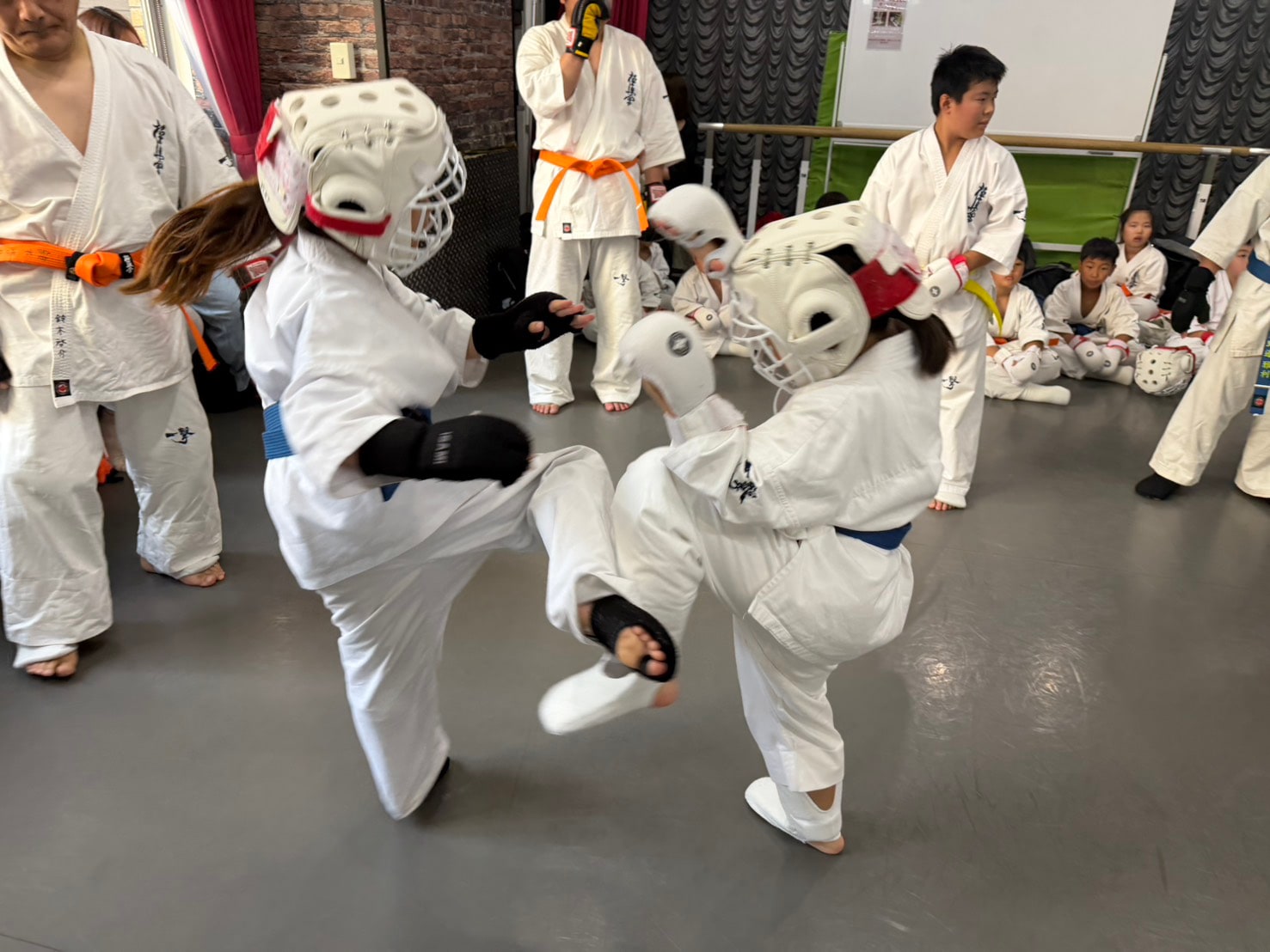 子ども同士の組手。蹴りを繰り出す生徒とそれを受ける生徒。