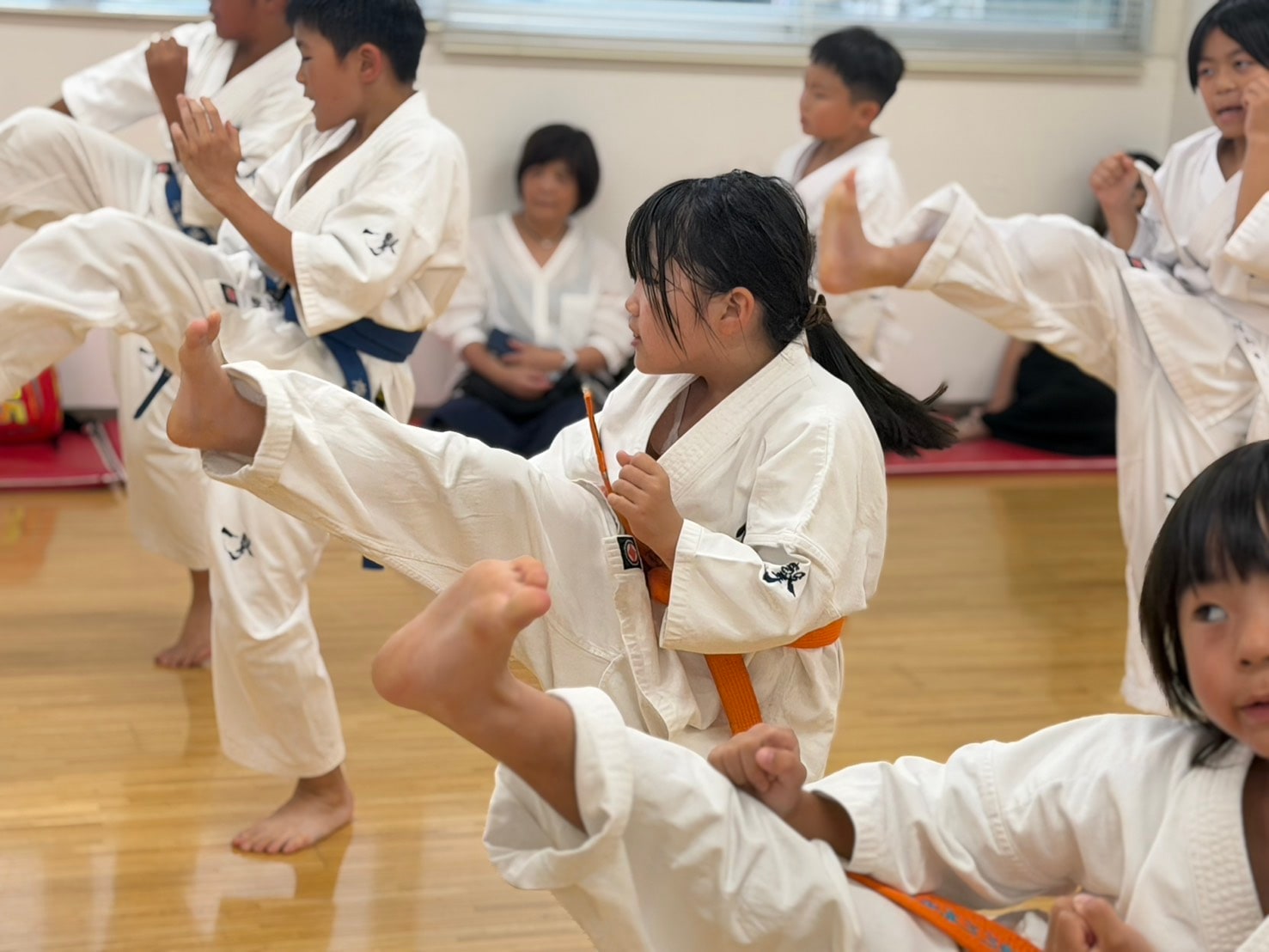 基本稽古 蹴りを揃えて行う幼年少年少女クラス