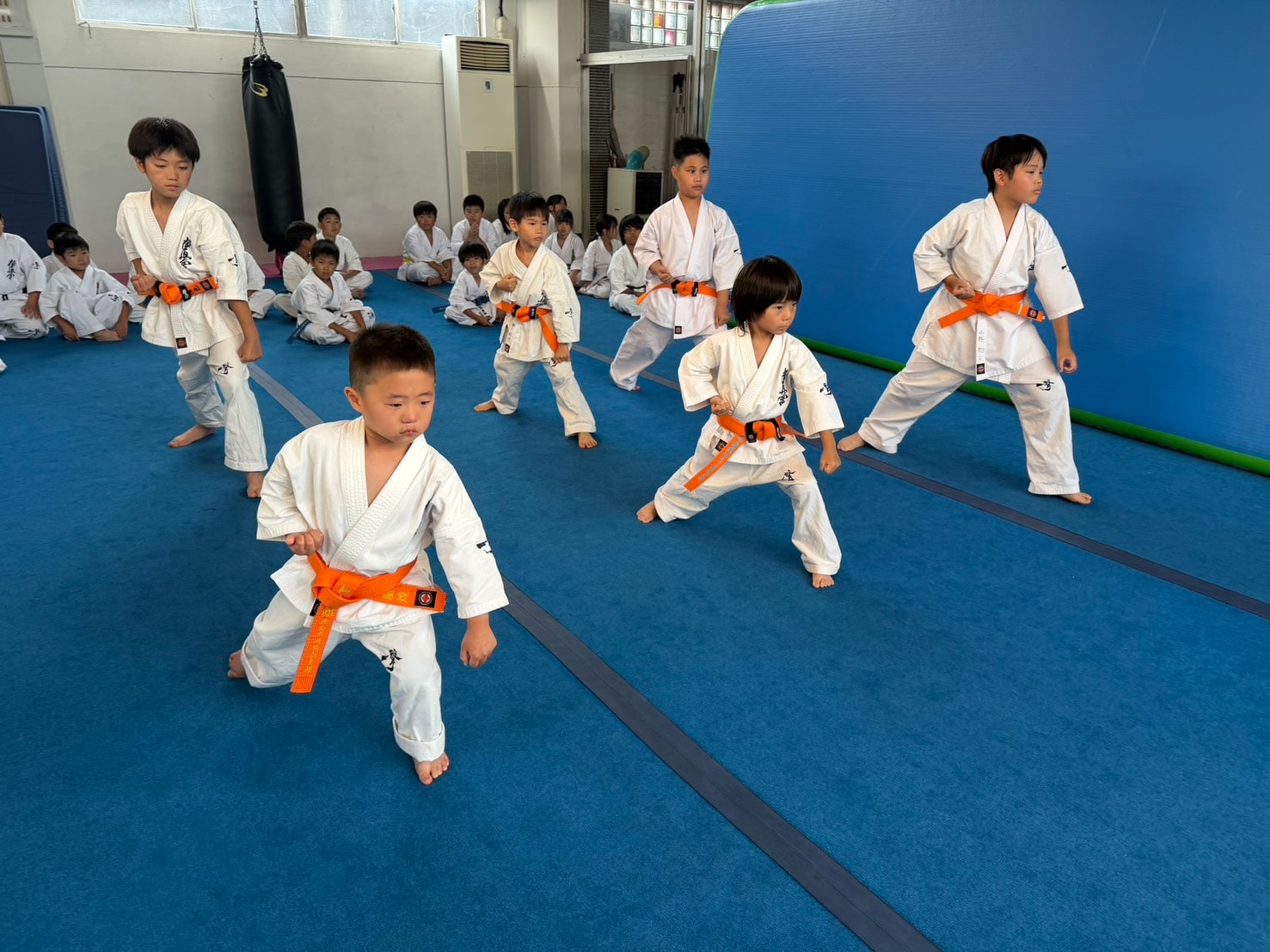 オレンジ帯が揃って型の稽古をする御幸道場の少年クラス