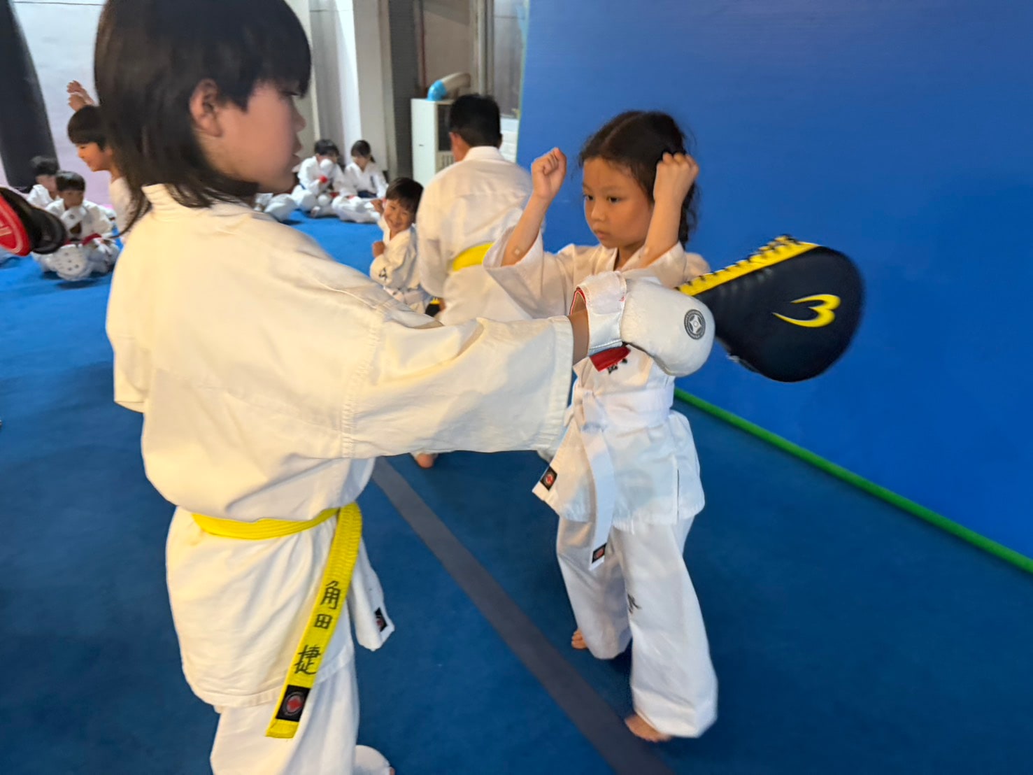 ミットへ蹴りを打ち込む少年道場生」