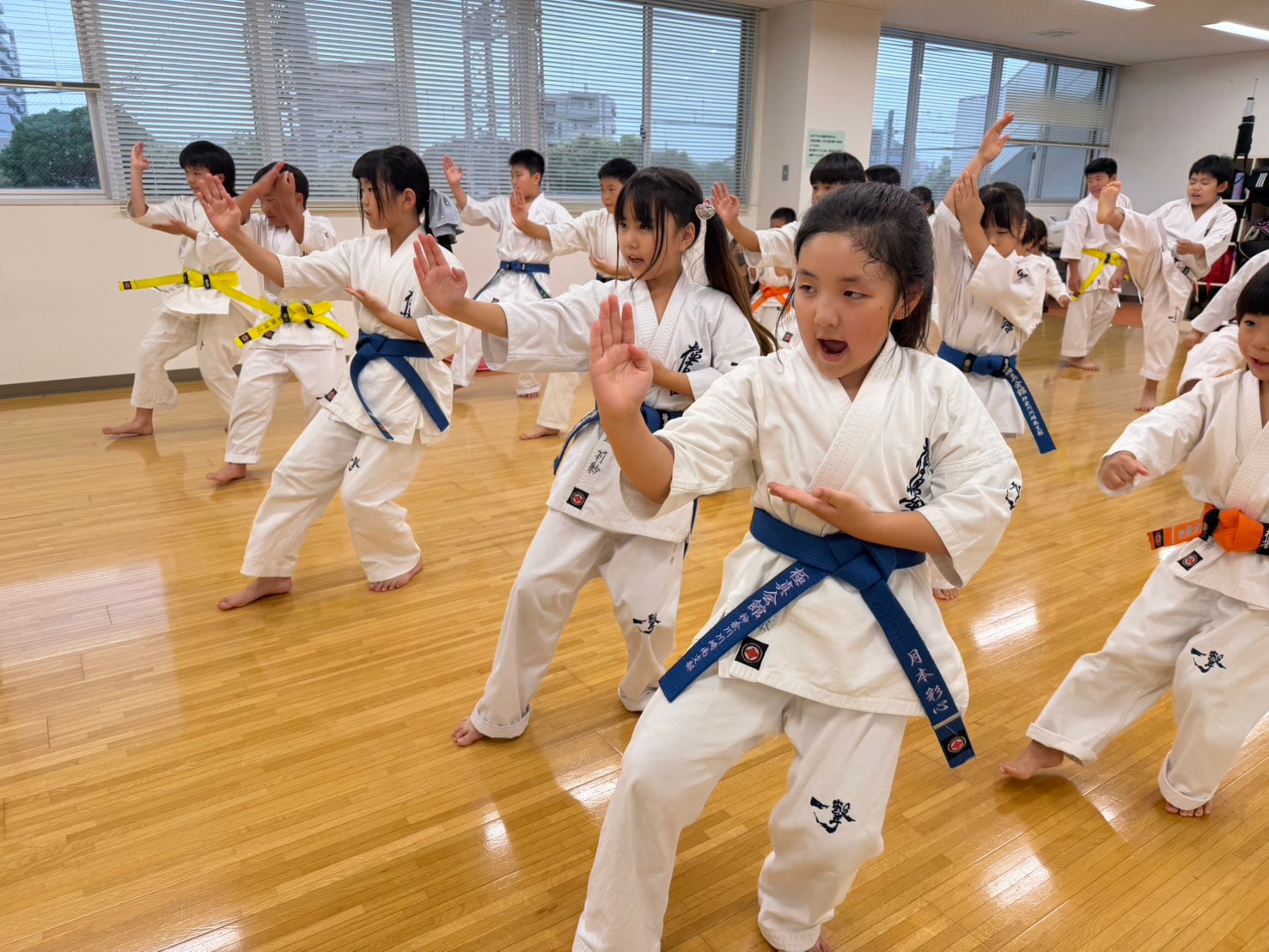 型稽古で手刀を繰り出す道場生たち」