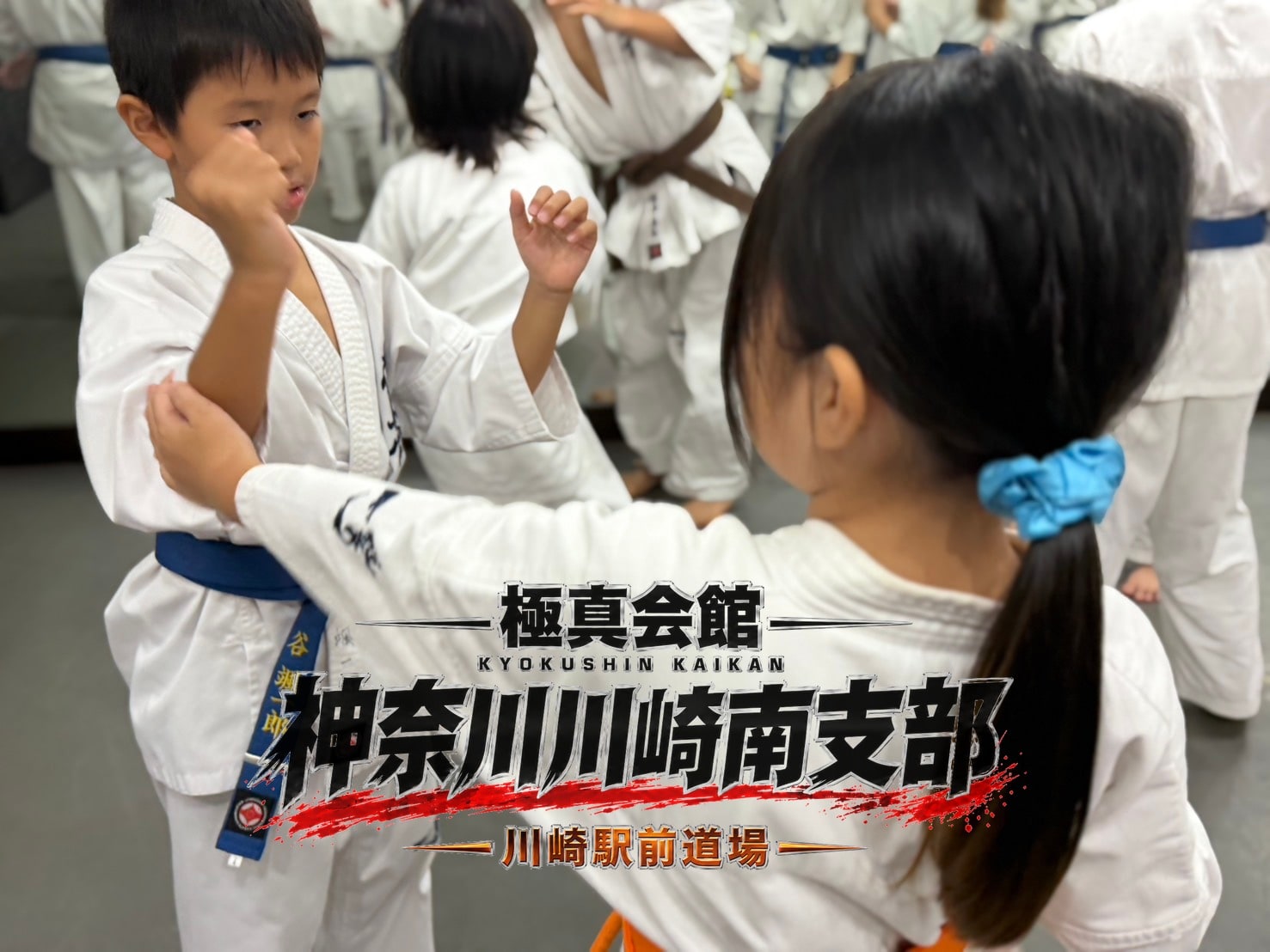 汗を流しながら稽古に取り組む道場生
