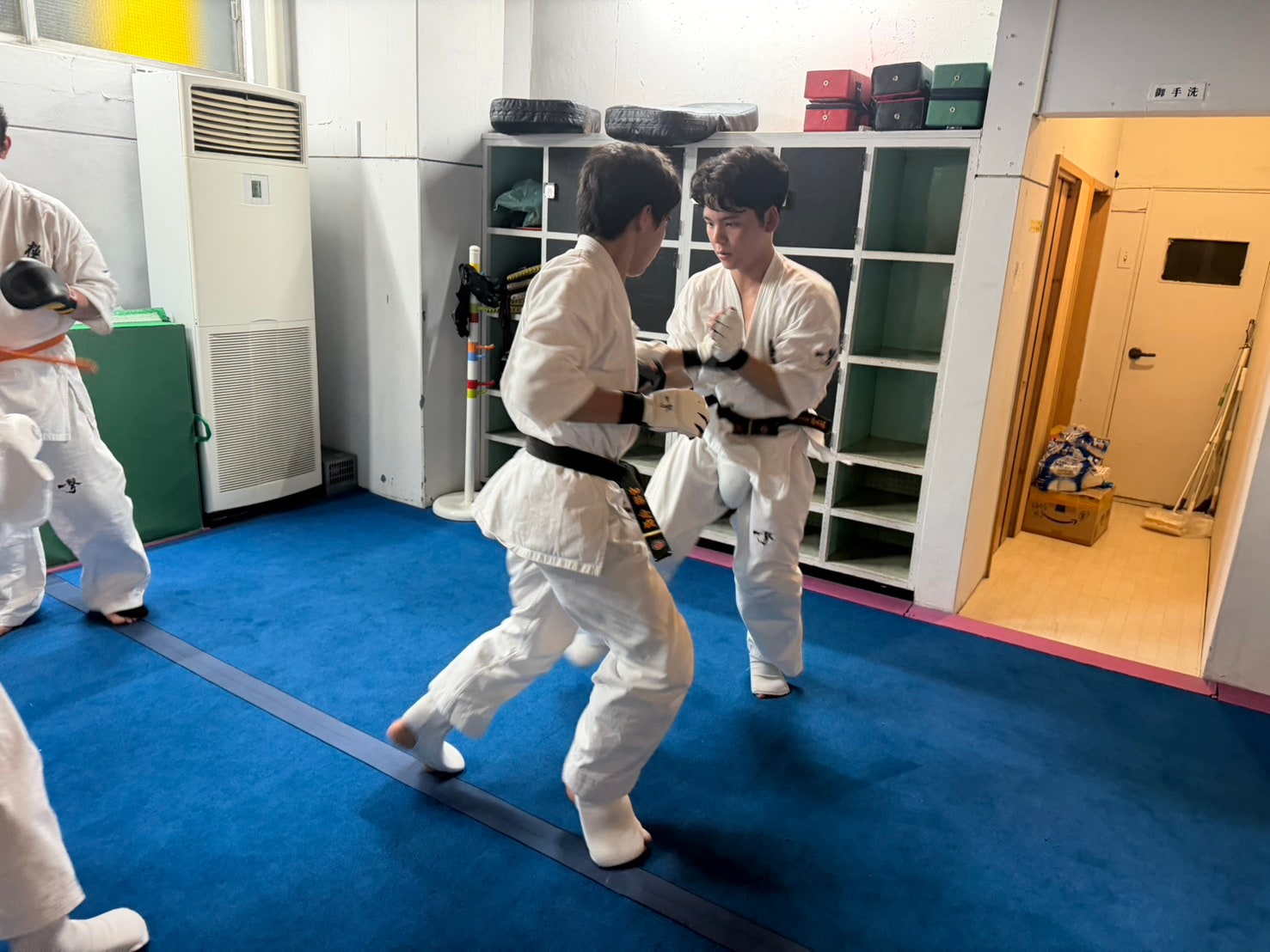 先輩と後輩が組手の距離感を確かめながら向き合う場面