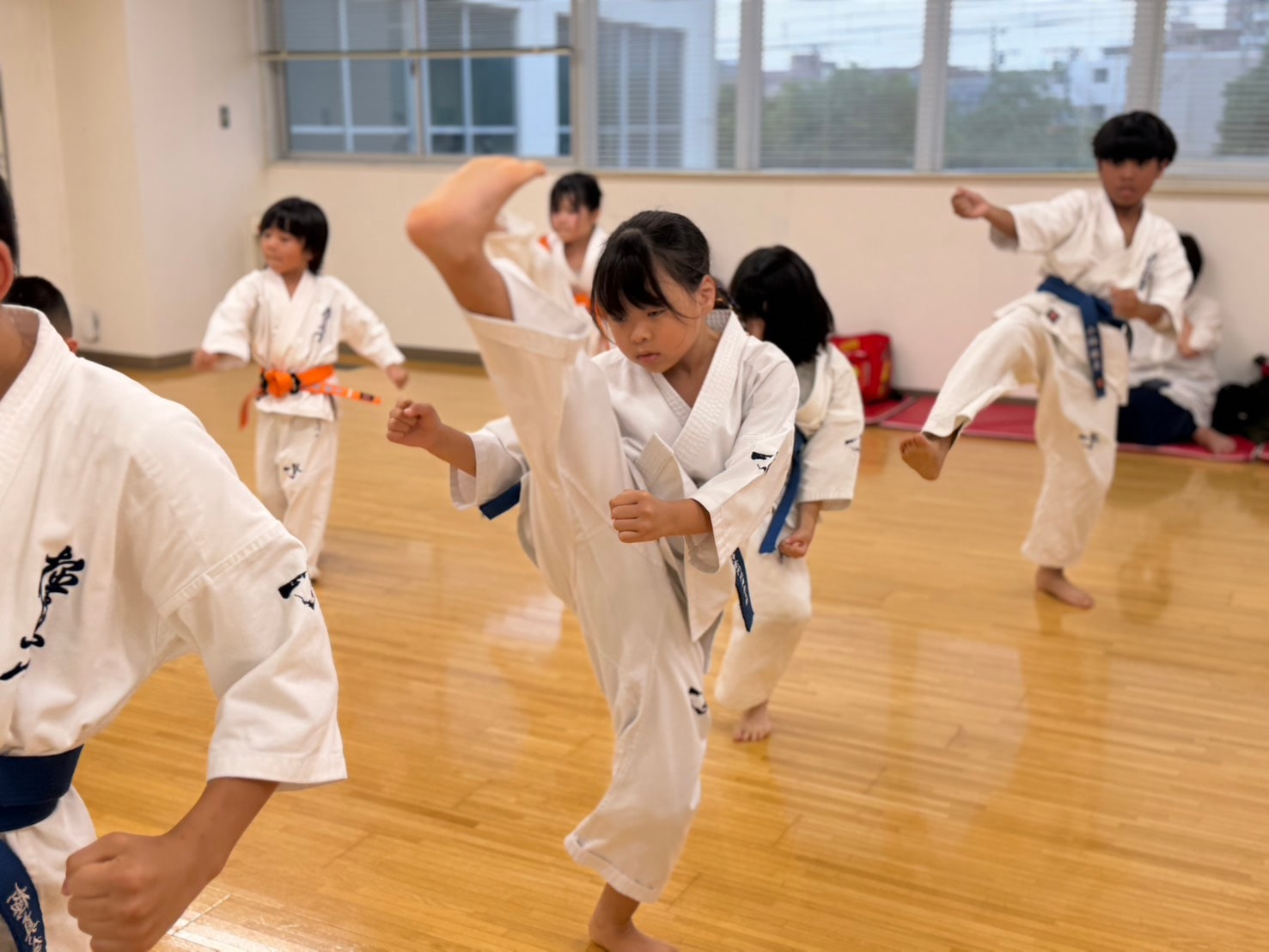 基本稽古に取り組む幼年少女クラスの生徒たち