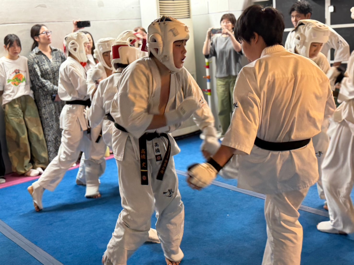 複数ペアが同時に組手スパーリング中。道場全体が熱気に包まれている