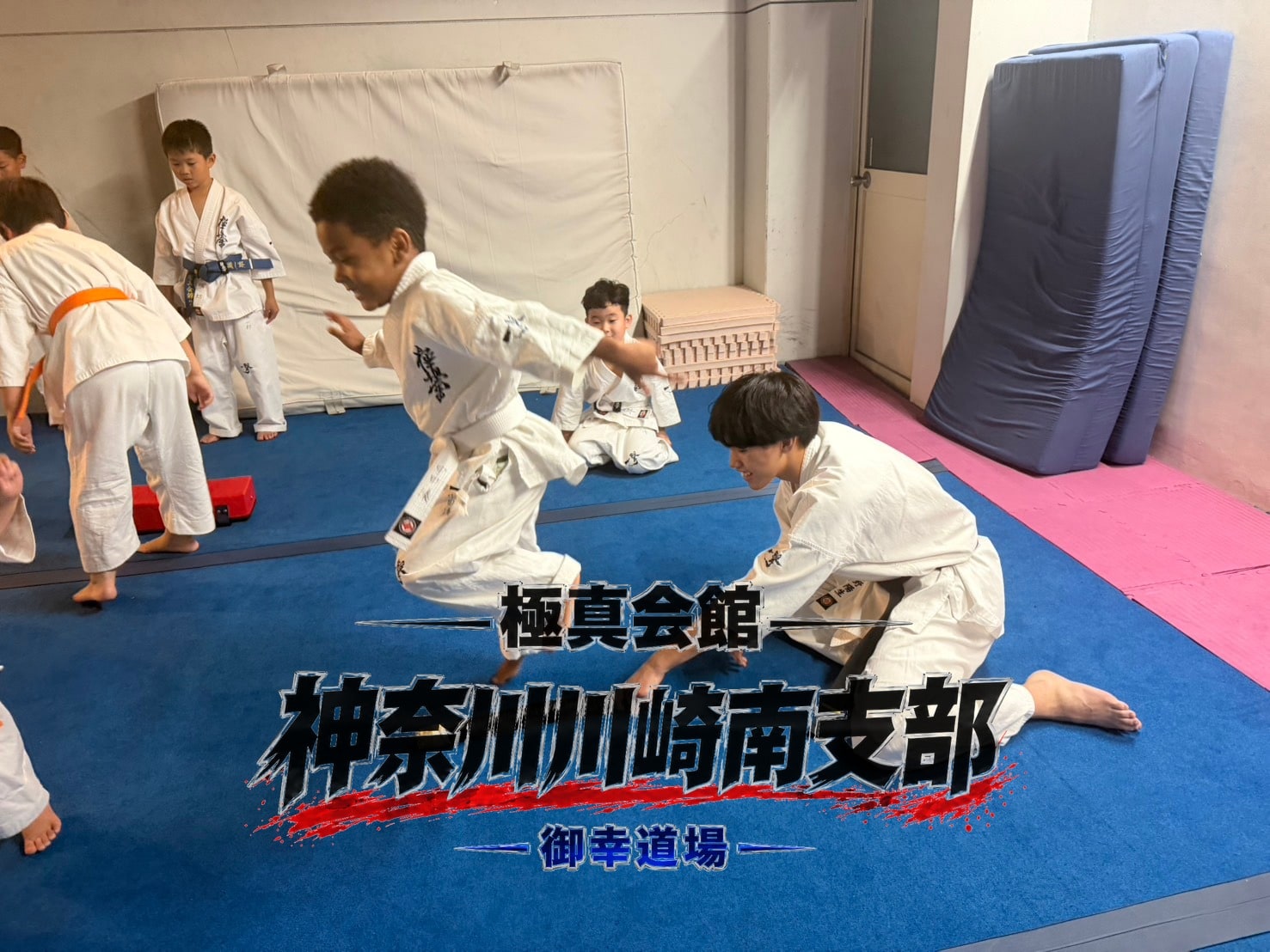 ジャンプとくぐり抜けのペアトレーニングの様子