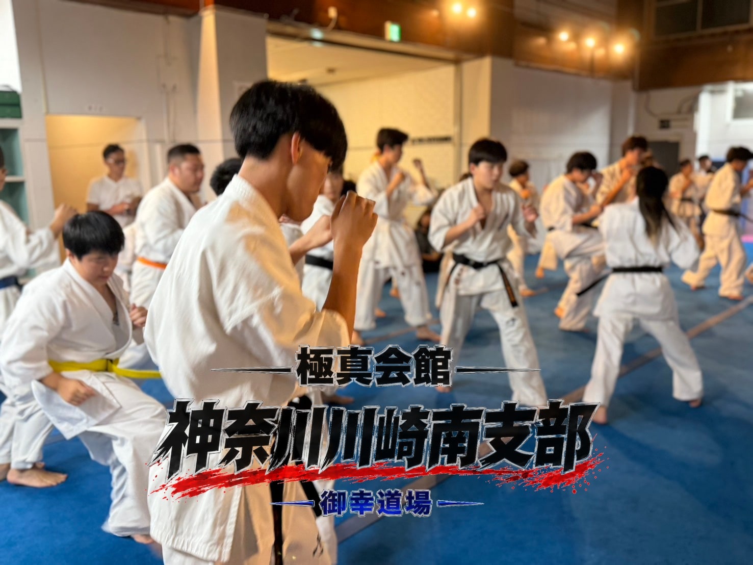 道場全体に広がりシャドー稽古に取り組む様々な帯色の道場生たち