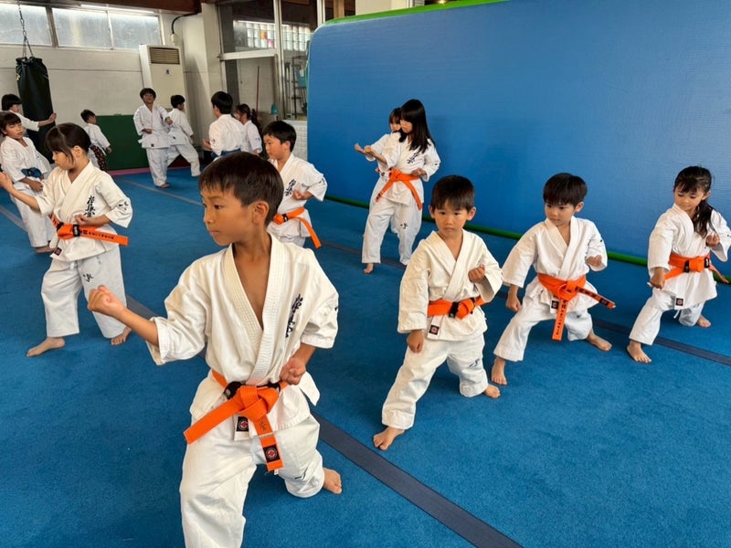 御幸道場(幸区)の幼年少年少女クラスでのミット稽古の様子