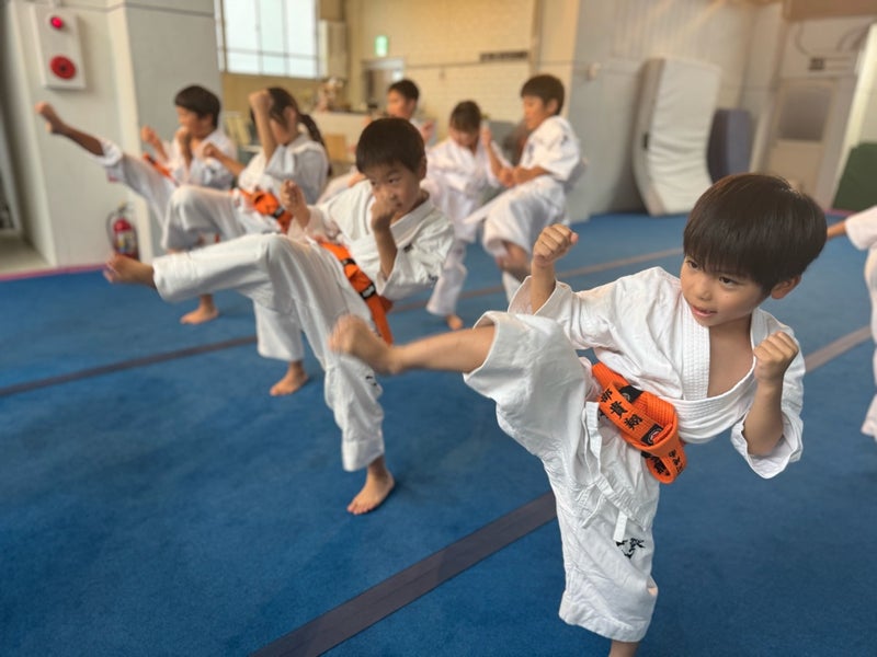 元気に前蹴りを行う幼年少年少女クラス｜御幸道場（幸区）