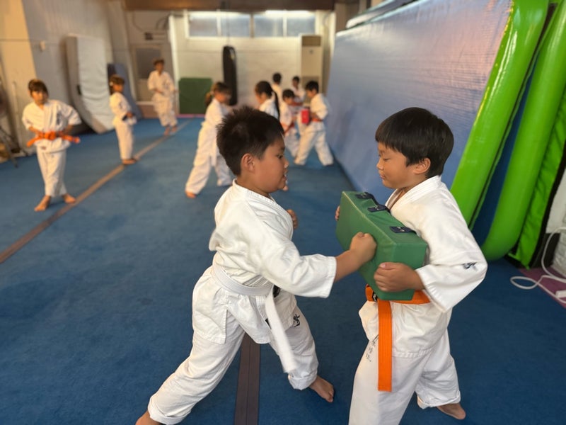 元気に前蹴りを行う幼年少年少女クラス｜御幸道場（幸区）