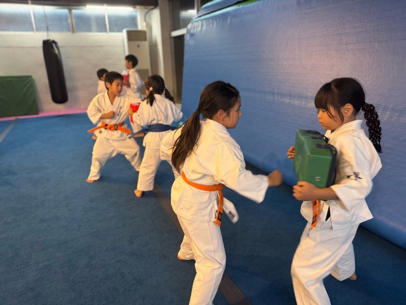 元気に前蹴りを行う幼年少年少女クラス｜御幸道場（幸区）